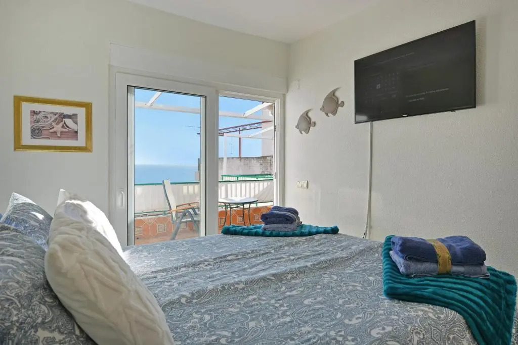 Playa Postiguet Penthouse