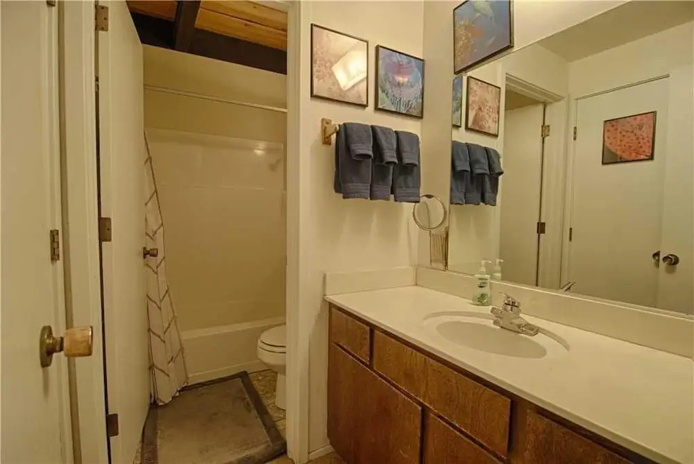 Vidor Village and Family Retreat #322