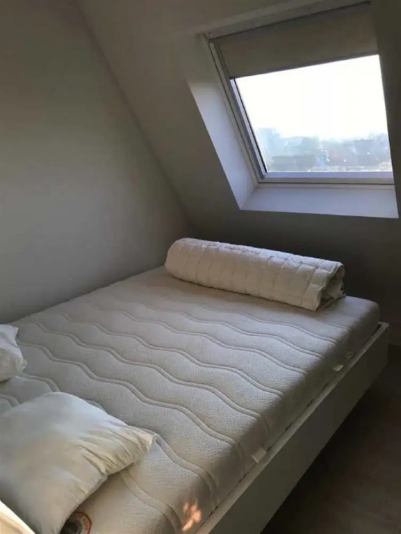 Seabreeze 303