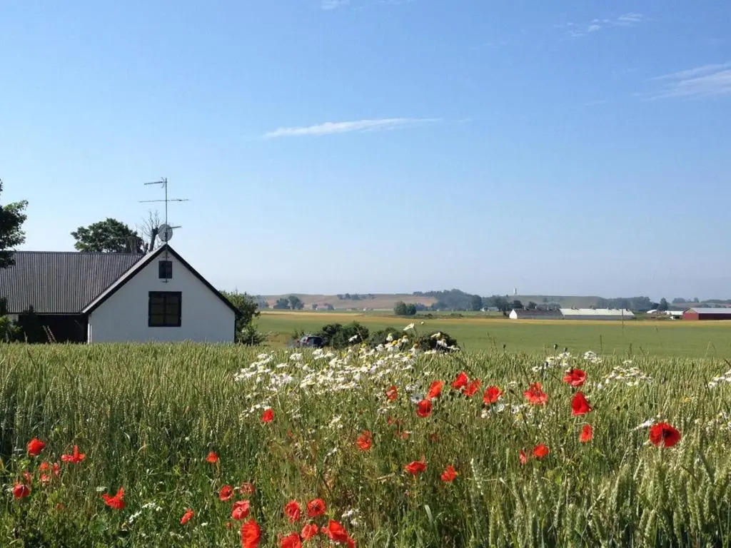 Wingårdhs B&B Österlen