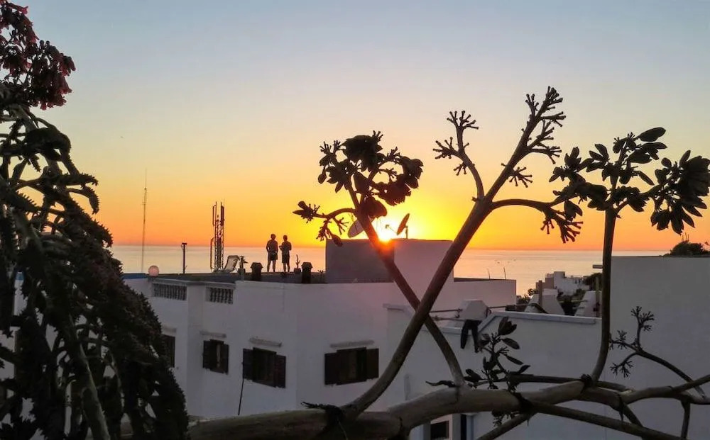 Argan surf house