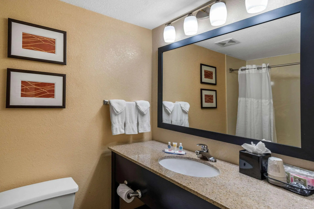 Comfort Inn & Suites Peachtree Corners - Norcross