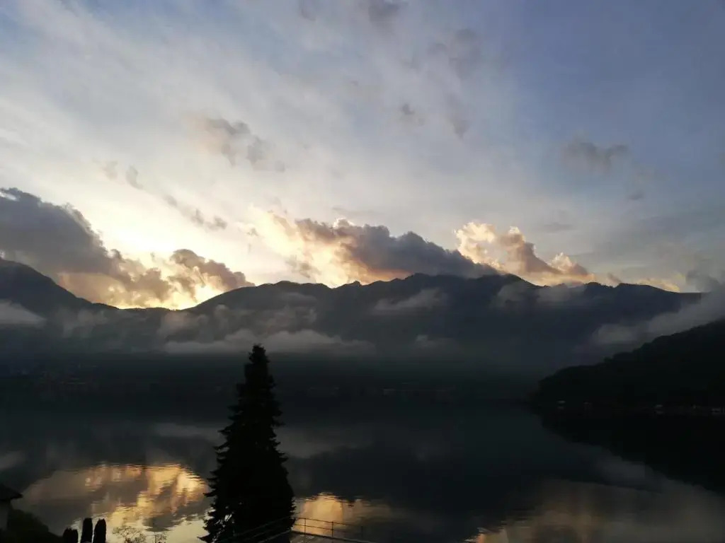 Dream view - NL-00002286