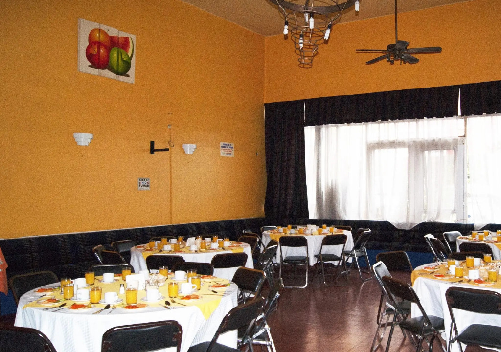 Hotel Árbol Grande