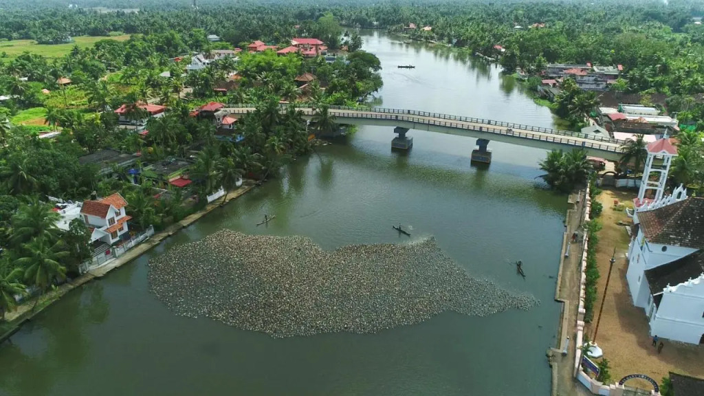 Triveny River Palace