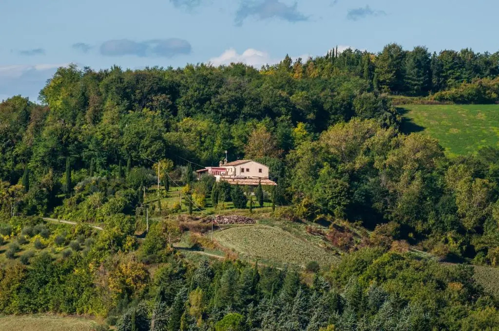 Tenuta SantApollinare