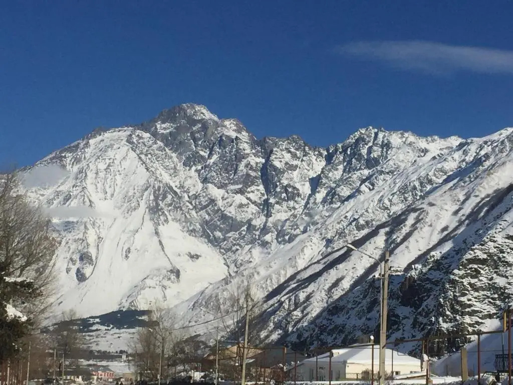 Arshaura Apartment near Kazbegi