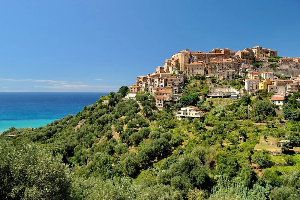 Ecolodge Selvitelle - Sustainable Retreat Amidst Olive Groves in Cilento