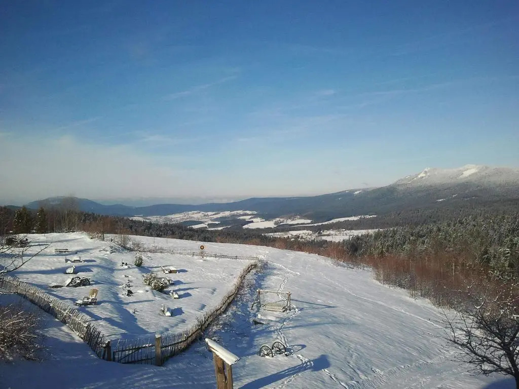 Berghotel Mooshütte am Arber, Naturidyll auf 950m, wandern direkt ab Hoteltür