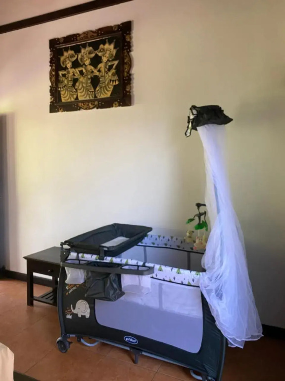 Badini Homestay Pemuteran Bali