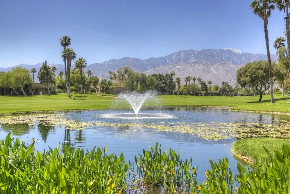 Best Value in Palm Springs for 4 Persons City License146,17751,17753,17754,17755
