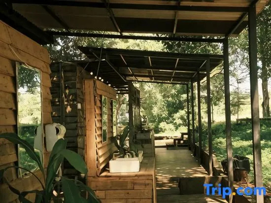 Tropical eglamping