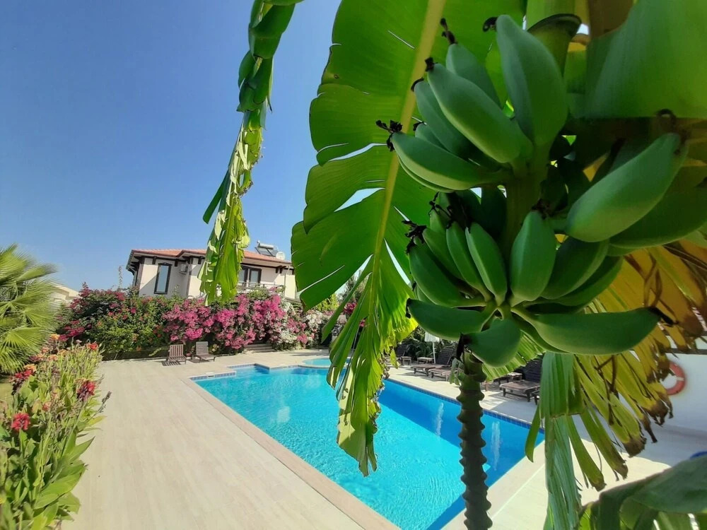 Beautiful 4-bed Villa Private Pools