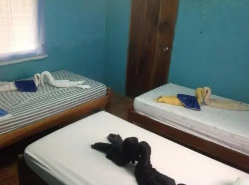 Monkeys Island Hostel