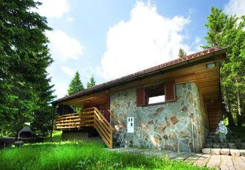 Apartment Cokla Rogla
