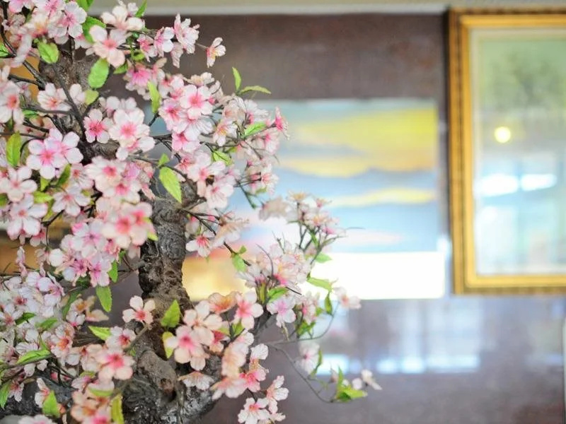 Tomikawa City Hotel
