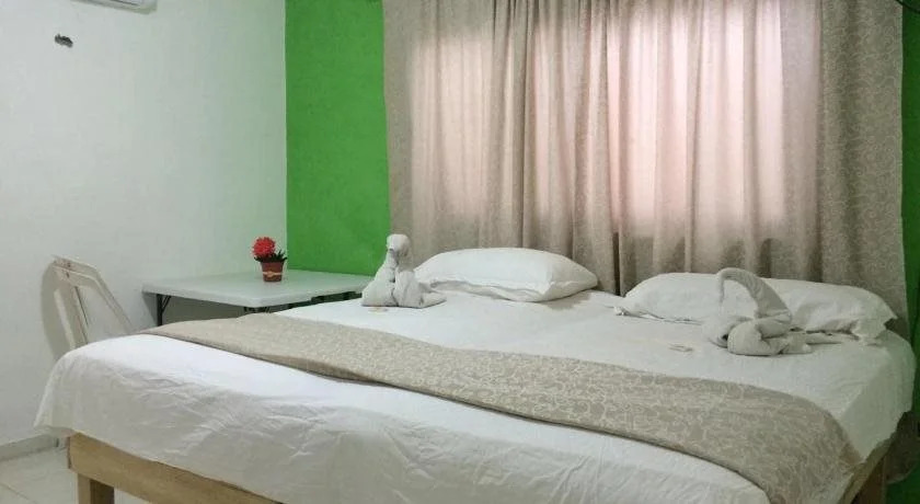 La Casa Del Gato