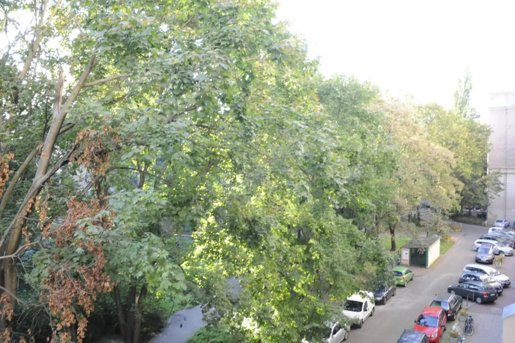 MiłoTu - Apartament Marszałkowski