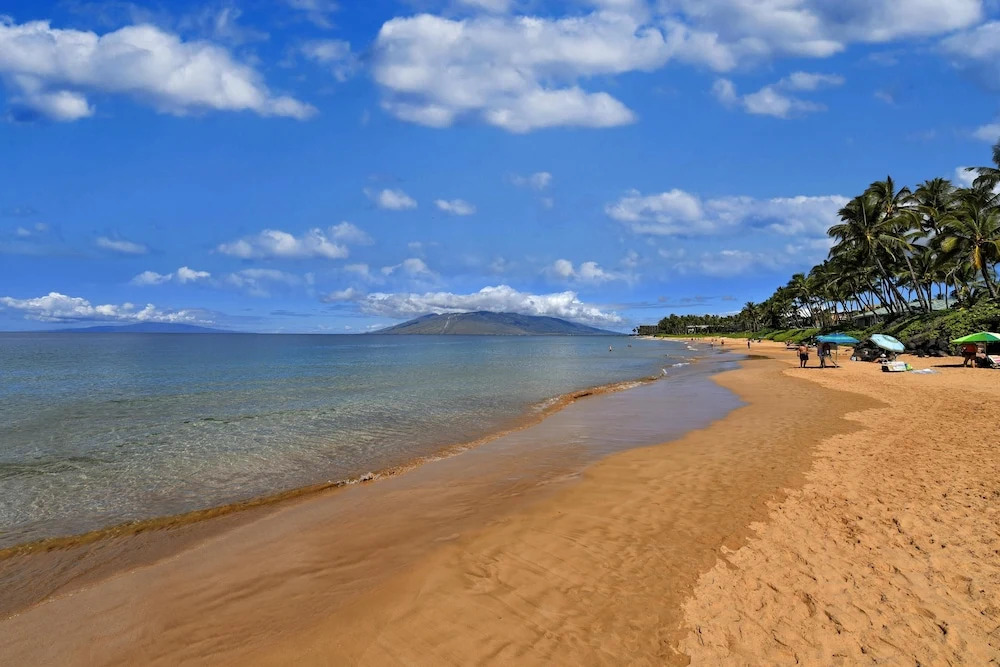 Tropical Oasis with Daily Activities - Spacious and Stylish Getaway