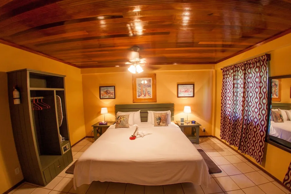 Hummingbird Suites Master King Room 3-3
