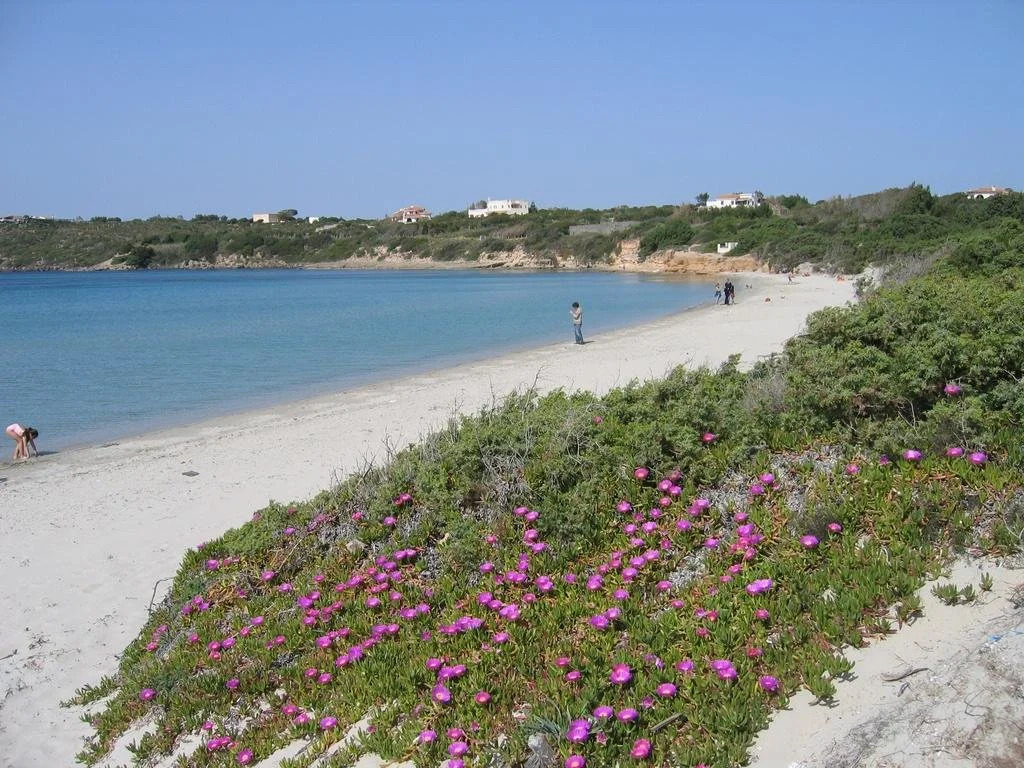 B&B Domus Oriens - monolocale con giardino, no fornelli