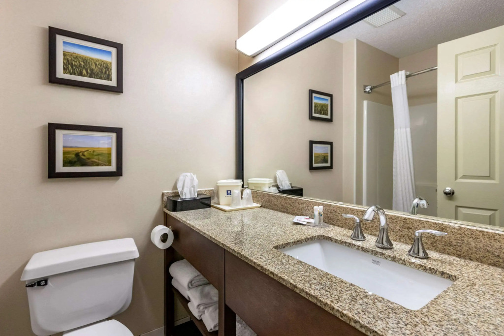 Comfort Inn Great Falls South