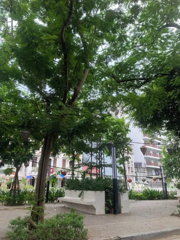 Holly Apartment - Truc Bach Lake