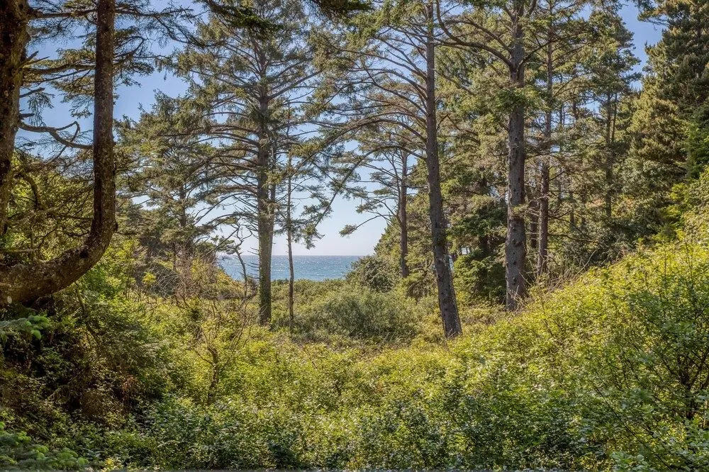 Stunning Ocean Views and Hot Tub Retreat - Elegant Coastal Sanctuary