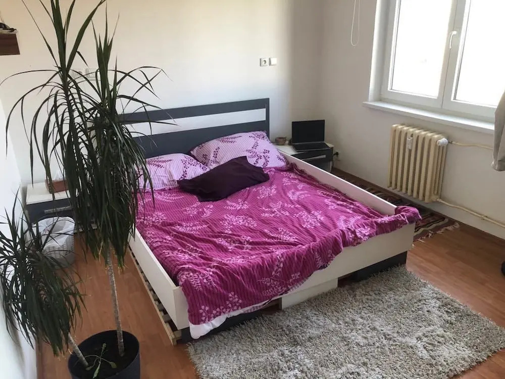 Shared Flat