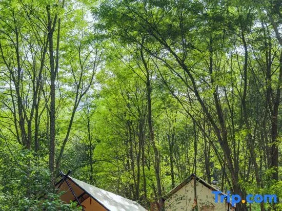 Qiongqia Firefly Forest Camping Hotel