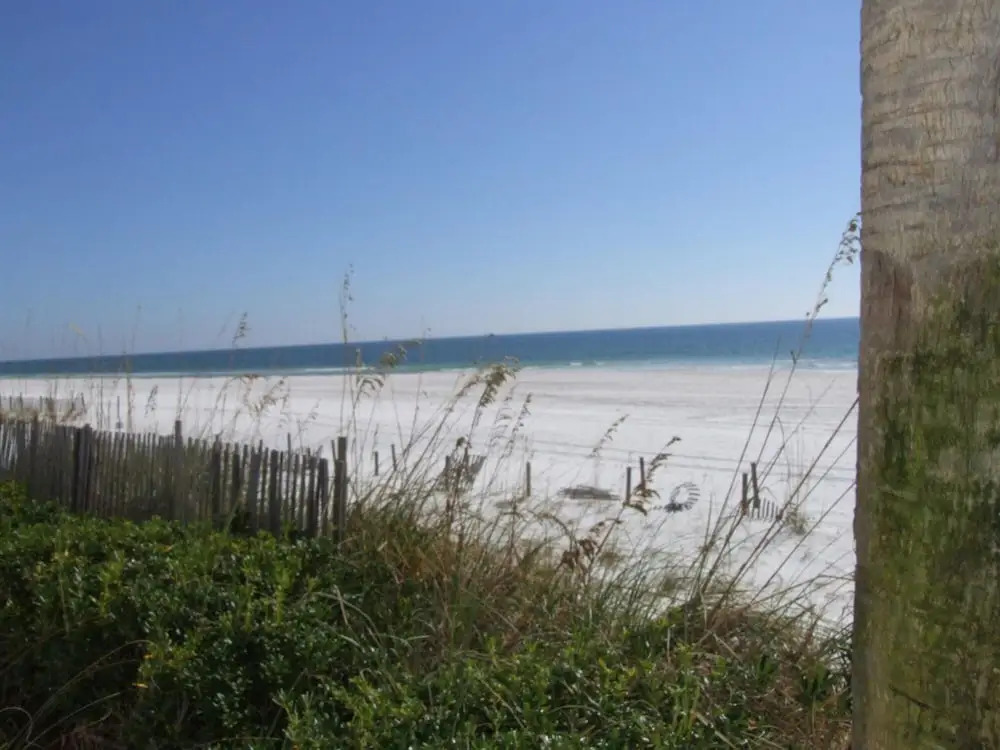 Tradewinds 807 by Youngs Suncoast
