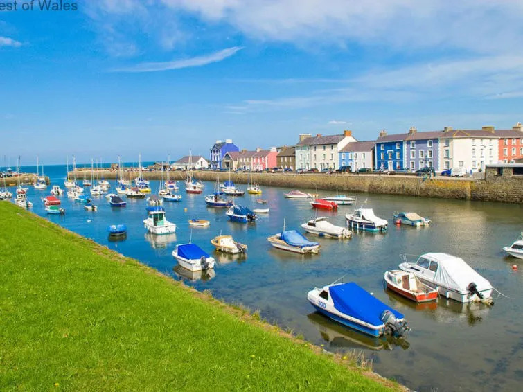 Harbour View
