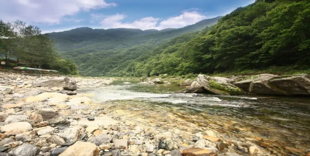 Samsuni Pension
