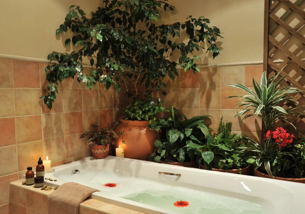 Claires of Sandton Luxury Guest House