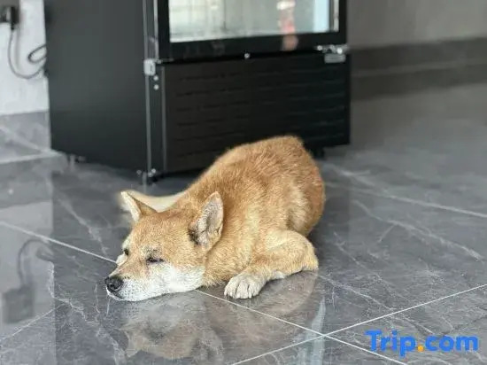Tonglu Free Qingjing Homestay