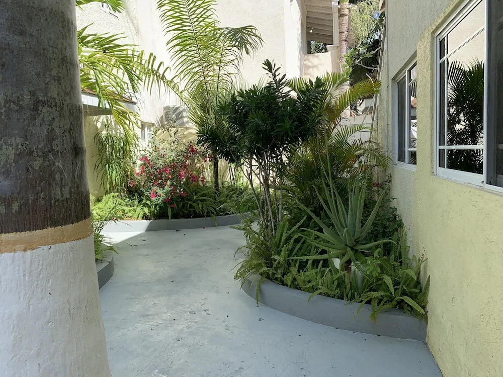 Comfy Stay in an Ocean Front Resort in Jamaica -Enjoy 7 Miles of White Sand Beach