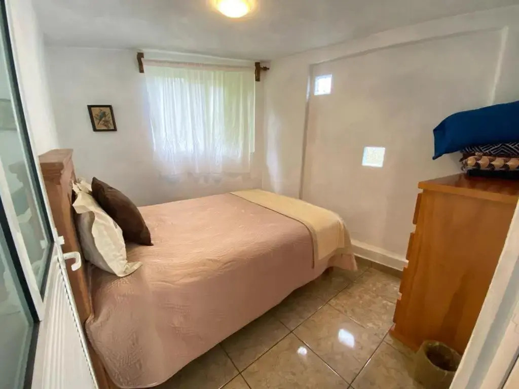Casa del bosque 2