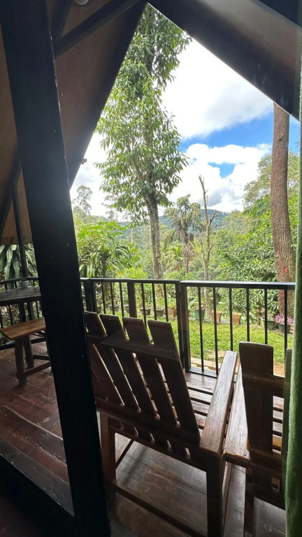 Real View