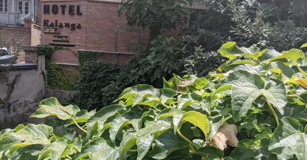 Hotel Kalanga