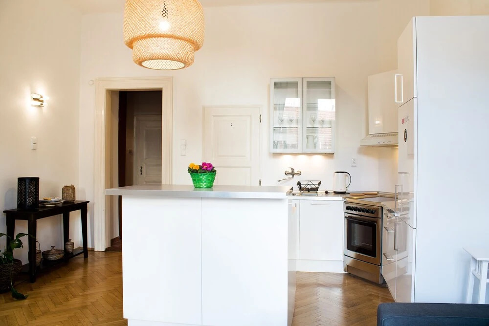 Charming Apartment Kozi Prague