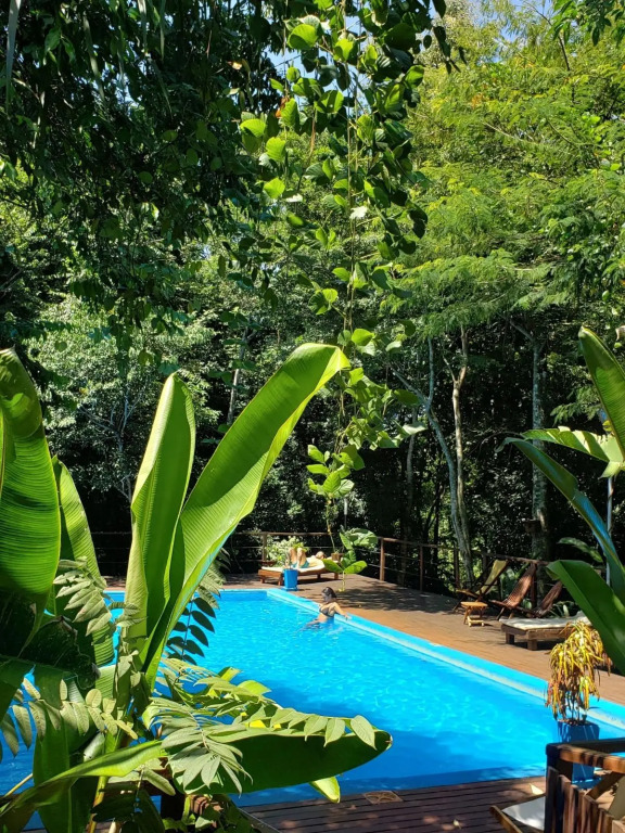 Selva de Laurel