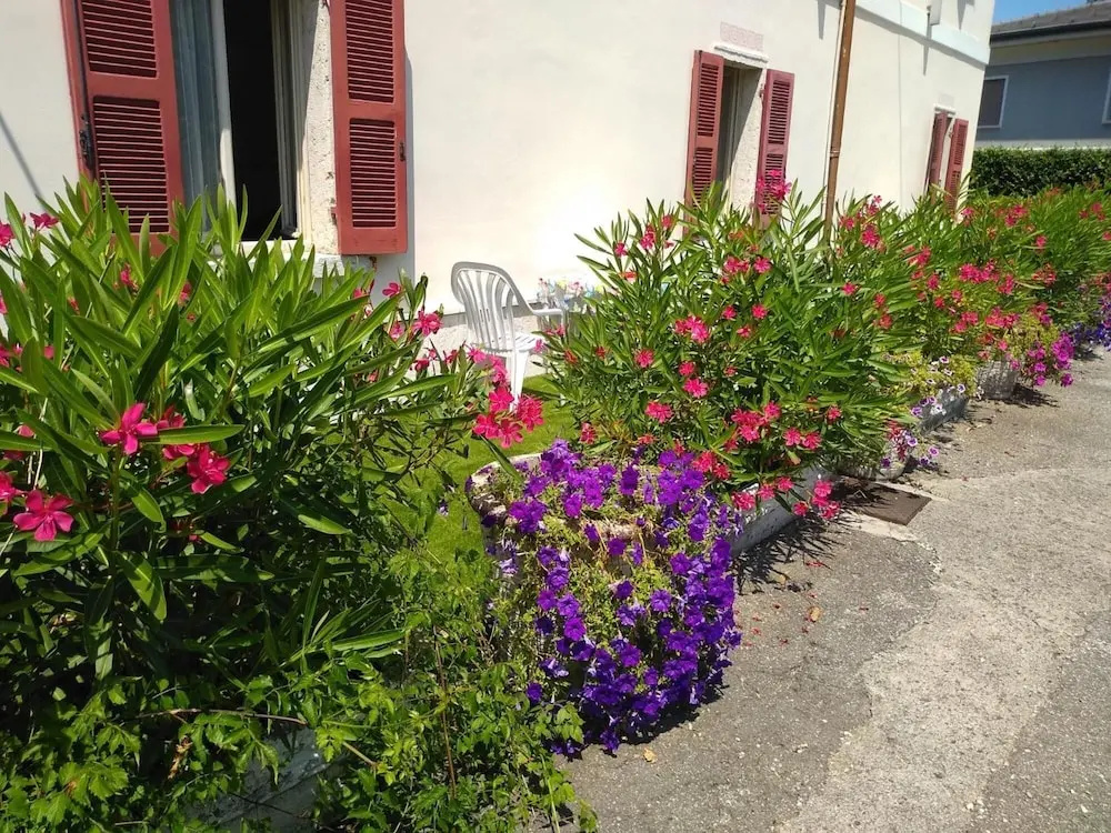 Albergo Grifone 1891