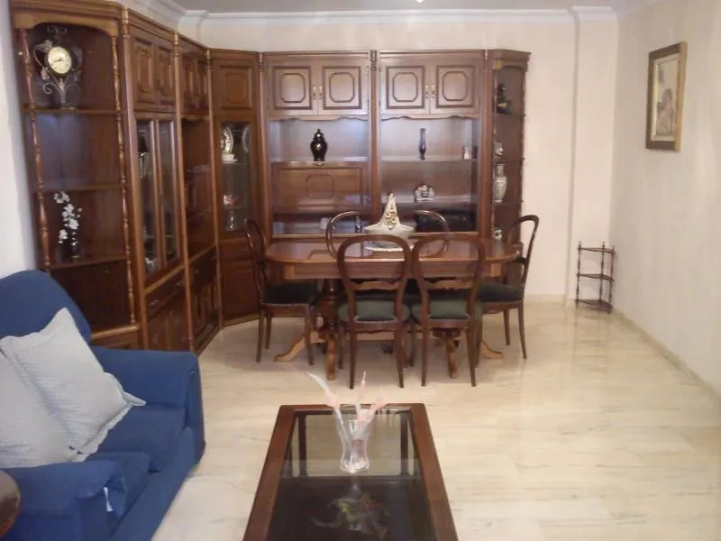 Apartment in Malaga 100580