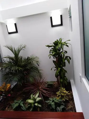 HOTEL JARDIN 38