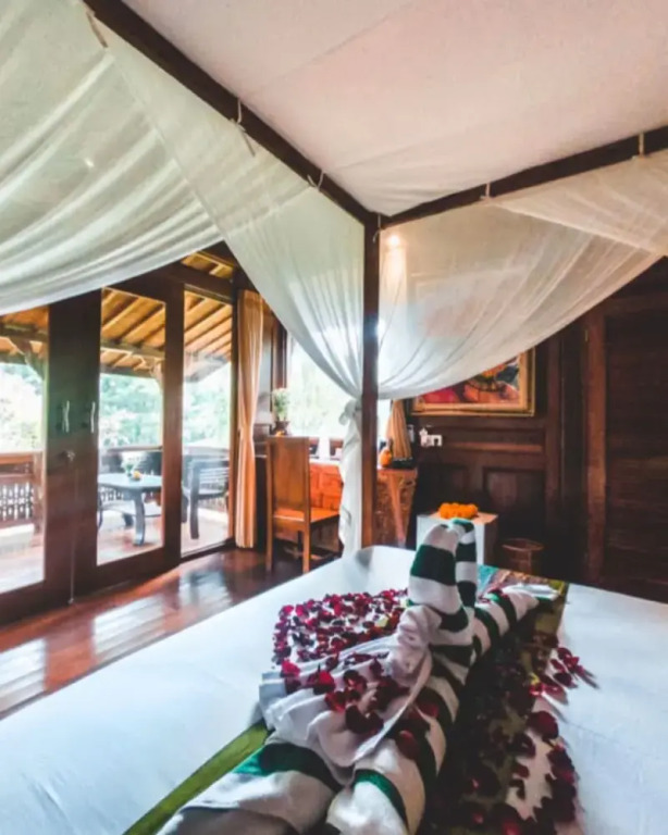 The Jungle Villa