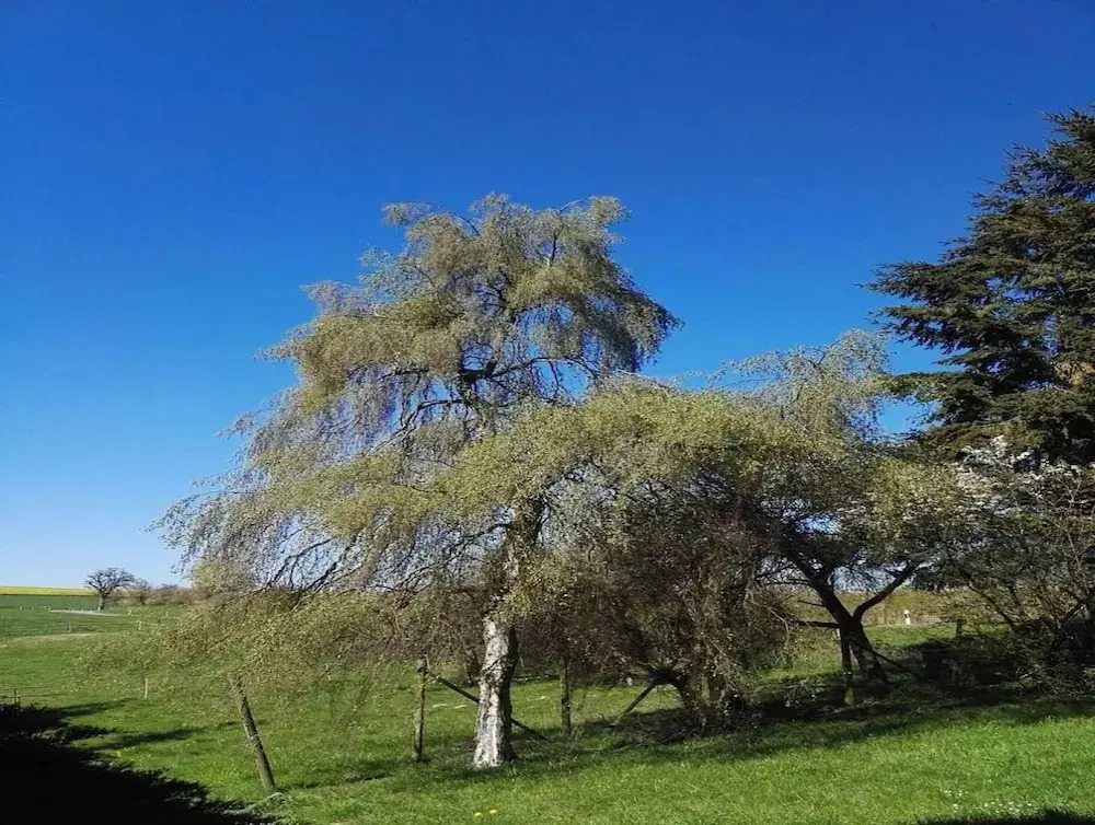 Holiday Home in Filz near River
