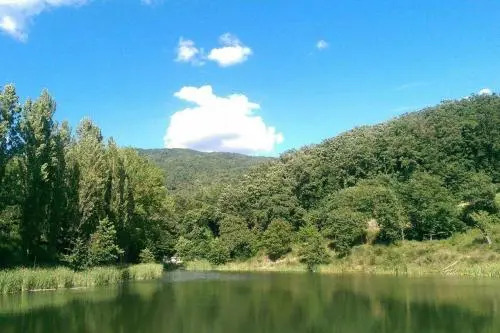 Villa Cantone