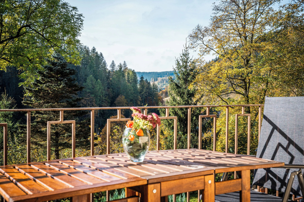 Bergpension Haus Vogelsang