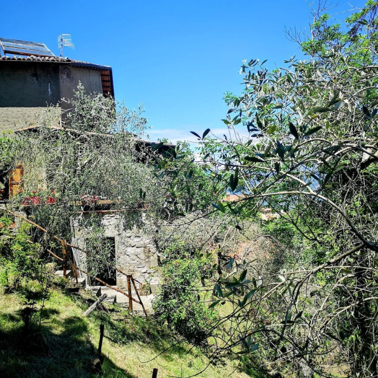 Holiday Apartment Ulivella Tuscany Garfagnana