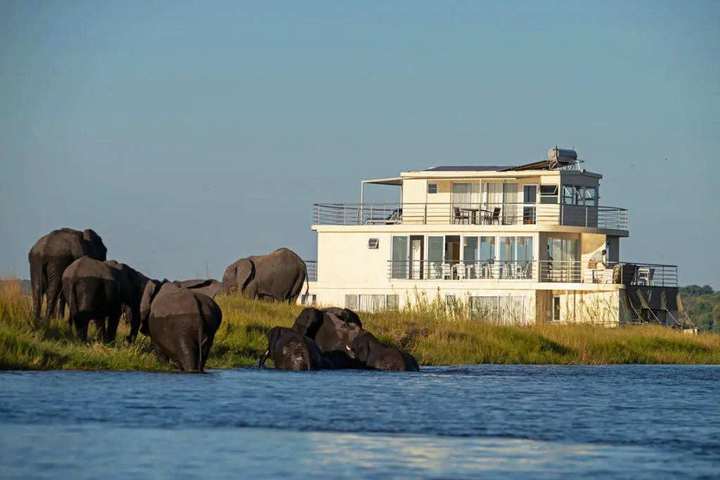 Chobe Princesses By Mantis